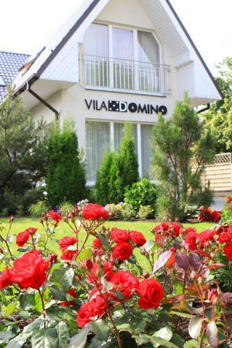 Hostal Vila Domino