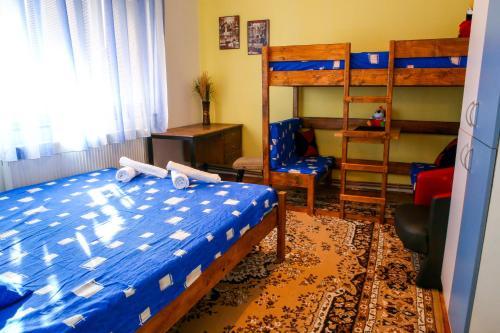 The Comfy Hostel