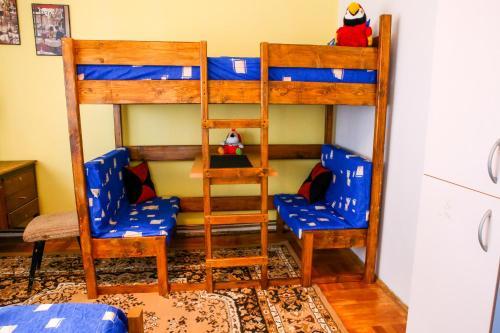 The Comfy Hostel