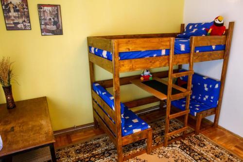 The Comfy Hostel