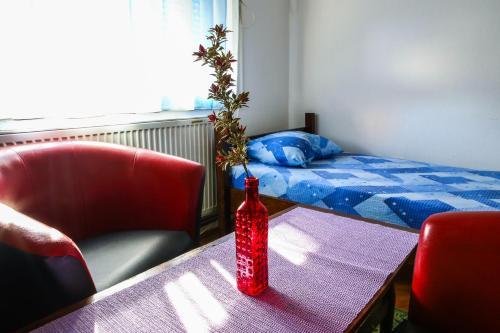 The Comfy Hostel
