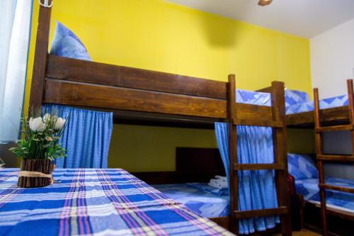 The Comfy Hostel