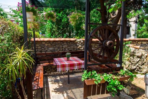 The Comfy Hostel