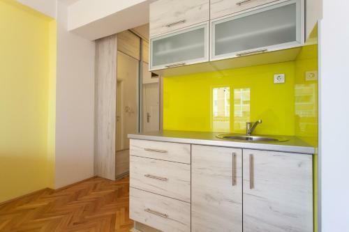 Apartment Partizanska