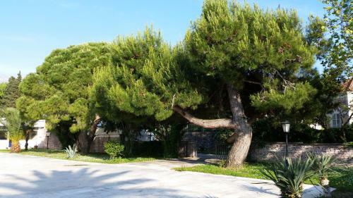 Villa Jadran Apartments