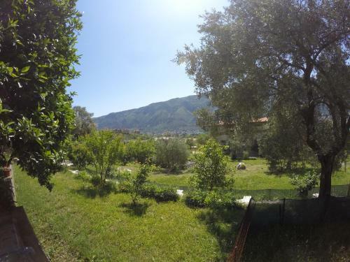 Apartment Danculovic