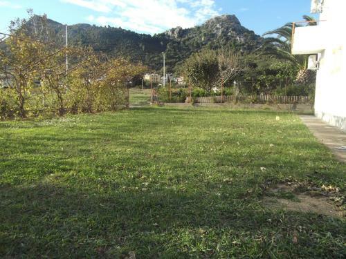 Apartments Jovan