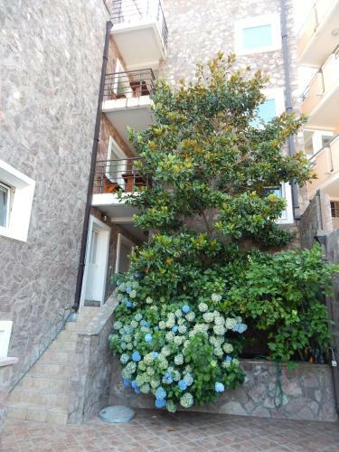 Contessa Apartments
