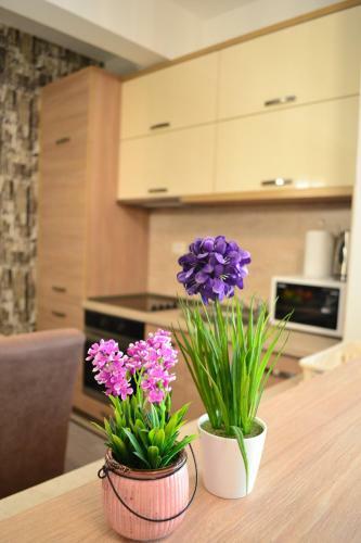 Crystal Apartment 2