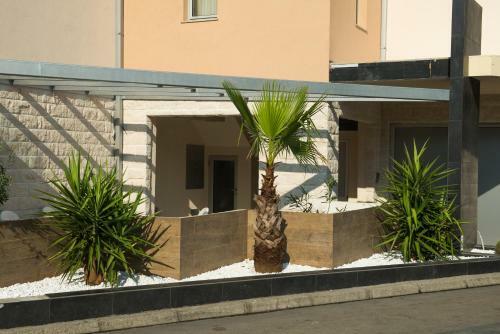 Hostal Guest House Vila Centar