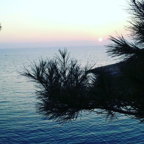 Hostal Apartmani Vila Marija