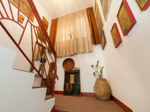 Apartamentos Guest House Ambient