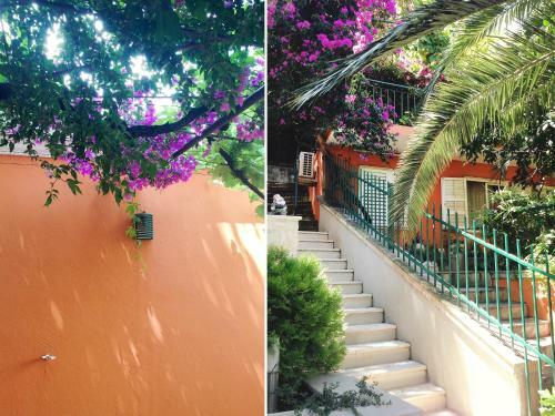Apartamentos Guest House Ambient