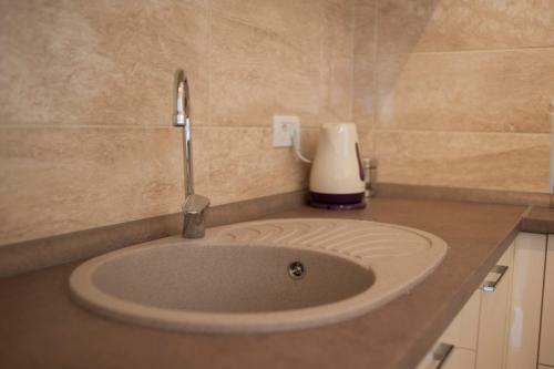 Apartment Mitrovic