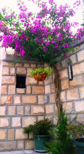 Apartamentos Klaris Guest House