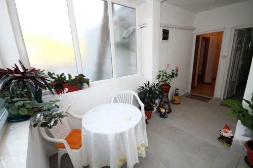 Apartments Dijana