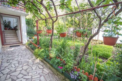 Hostal Ranko Guesthouse