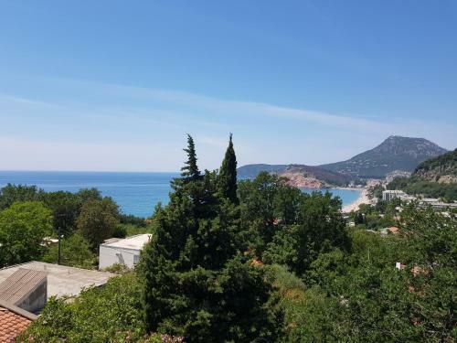 Hostal Guest House Dragomir