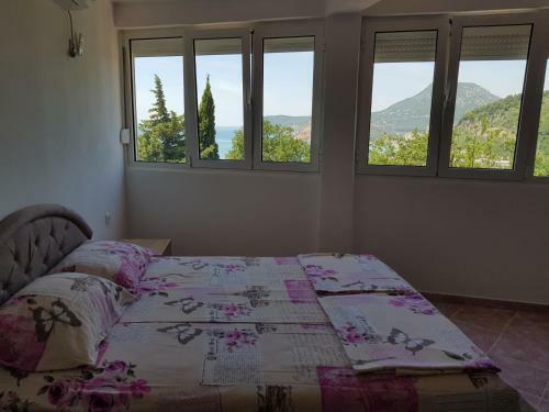 Hostal Guest House Dragomir