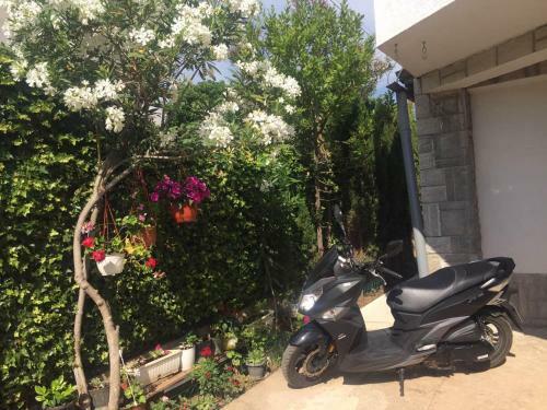 Apartmani Kiki