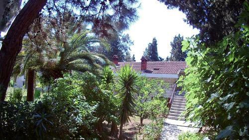 Vuksanovic Apartment