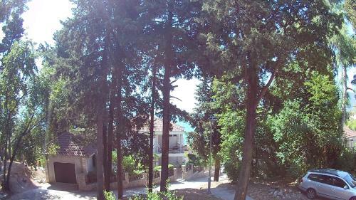 Vuksanovic Apartment