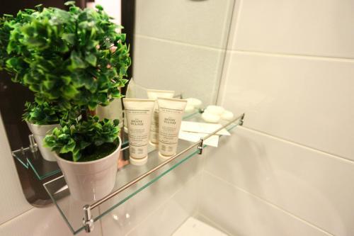 Apartment Recoleta
