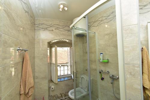 Apartment Braic