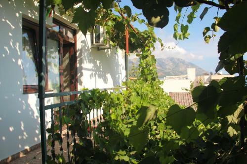 Hostal Savija Becici Rooms