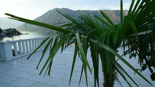 Apartamento Penthouse Stoliva