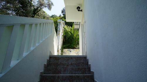 Apartamento Penthouse Stoliva