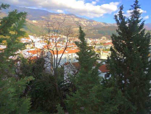 Hostal Villa Budvanka Guesthouse