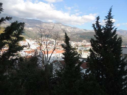 Hostal Villa Budvanka Guesthouse