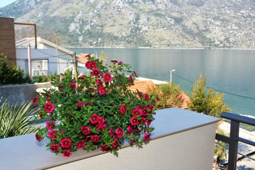 Hostal Holiday Home Cattaro