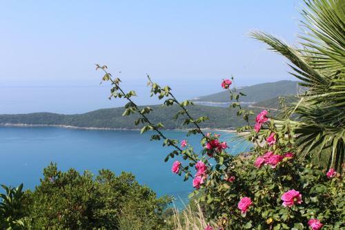 Hostal Guesthouse Villa Tortuga