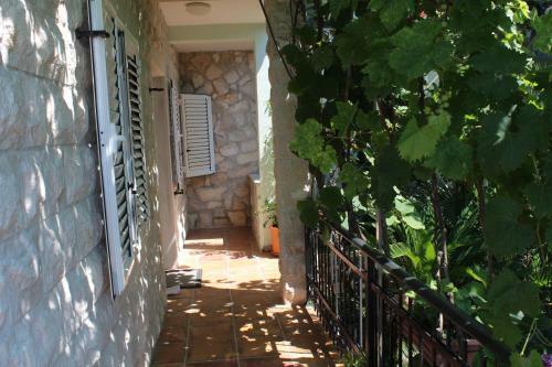 Hostal Guesthouse Villa Tortuga