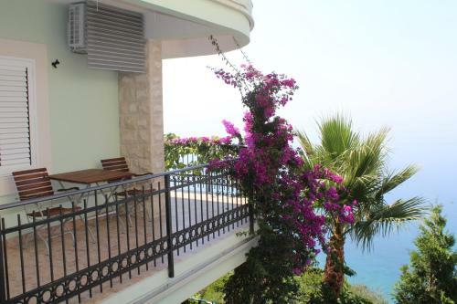 Hostal Guesthouse Villa Tortuga