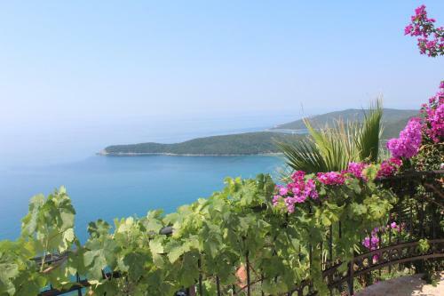 Hostal Guesthouse Villa Tortuga