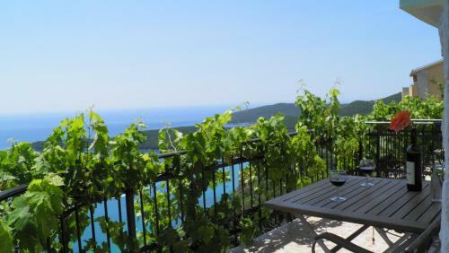 Hostal Guesthouse Villa Tortuga