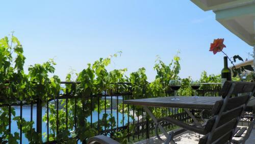 Hostal Guesthouse Villa Tortuga