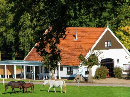 Chalet Chaletpark Kuiperberg 3