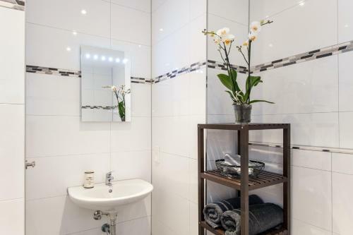 Noel's Bed & Breakfast Amsterdam
