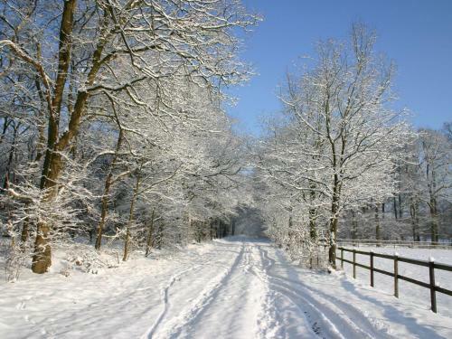 Holiday Home In Buitenplaats Berg En Bos II