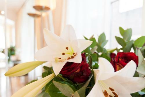 B&B La Vie En Rose Amsterdam Centre