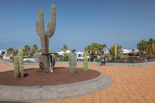Apartamentos Las Marismas de Corralejo