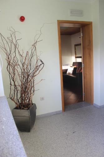 Hostal Casa Da Ribeirinha