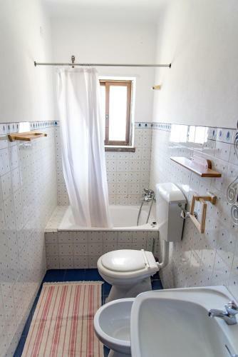 Albergue Moby Dick Lodge