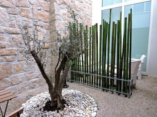 Apartamento Porto N�utico
