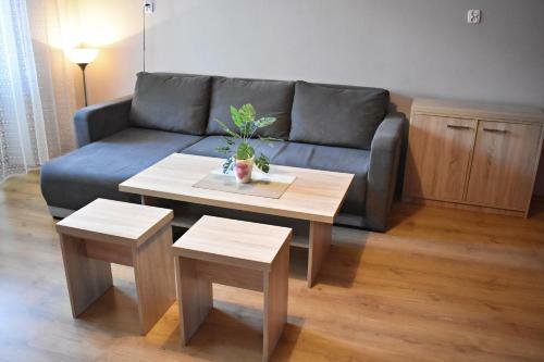 Dobry Apartament - Wis?a Centrum