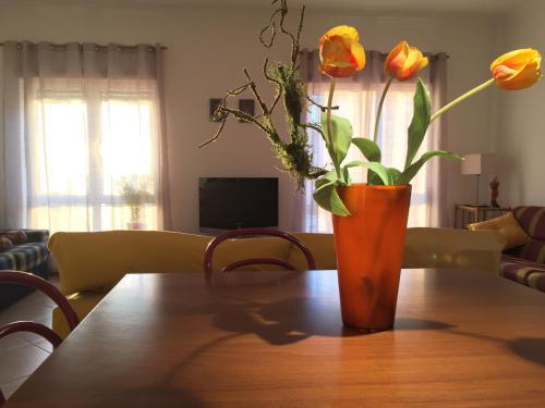 Sunset Beach Apartment